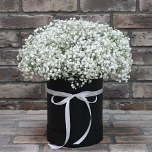 Цветочная композиция из Гипсофила в шляпной коробке #REPLACE_PRED# Излучинске